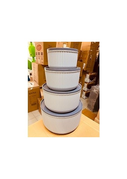 4'lü Saklama Kabı Seti, Çizgili Bej Plastik, Bpa Içermeyen, Mikrodalga ve Dondurucu Uyumlu,