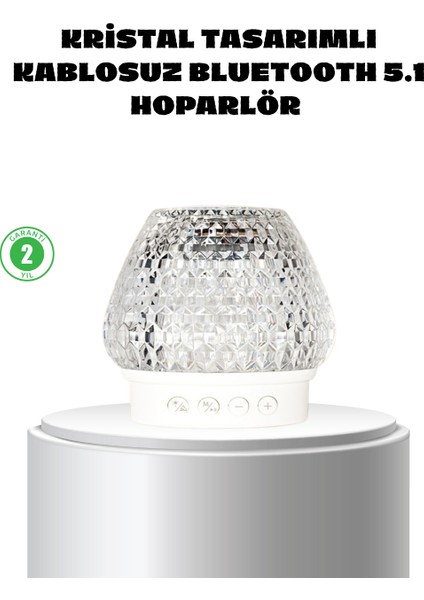 Kristal Desenli LED Işıklı Hoparlör 5W 1200 Mah Taşınabilir