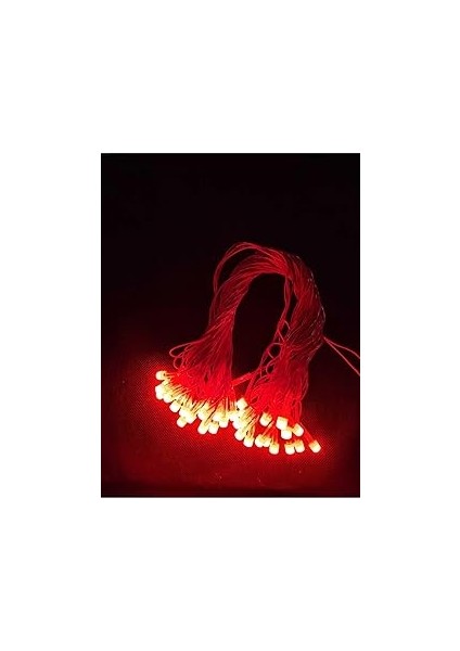 Gaman 10 Metre LED Işık 220VOLT Dekor Ledi - Yılbaşı Ağacı Ledi - Sabit Yanabilen Büyük Ledli Kırmı