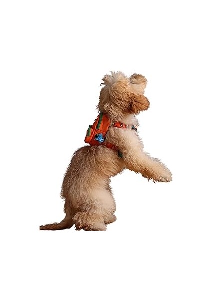 Pawlook Design, Turuncu, Çantalı Göğüs Tasması, Köpek Sırt Çantası – 2’si 1 Arada Göğüs Tasması Fon