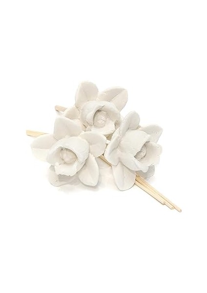 Gül Seramik Taşlı 10'lu Doğal Bambu Kamış Seti