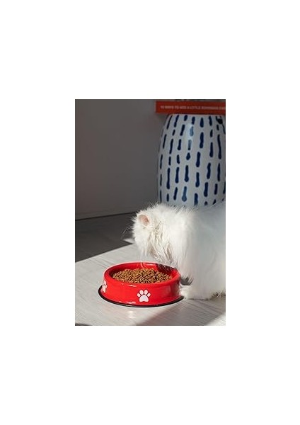 Emaye Kedi Köpek Mama ve Su Kabı Pati Desen,flame