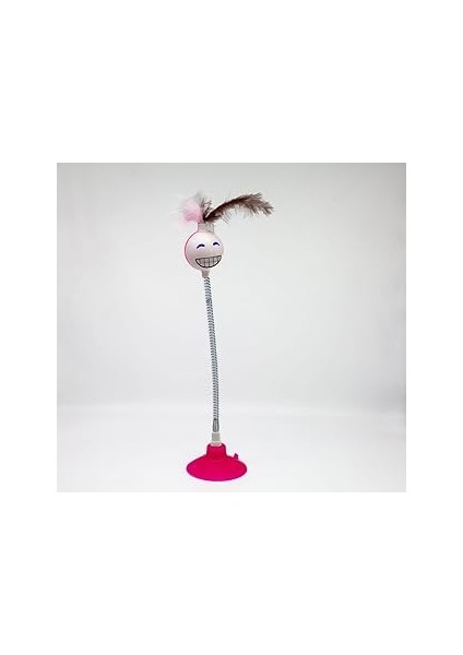 Tineke Vantuzlu Yayli Gülen Yüz Kedi̇ Oyuncaği 1 Adet (Pembe)