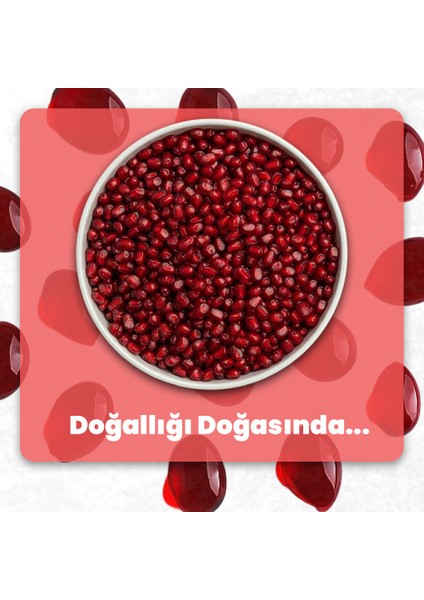 Kurutulmuş Nar Tanesi 100 gr indirimleri