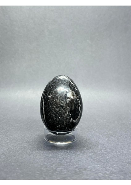 Belemnit Fosilli Yumurta Doğaltaş modelleri