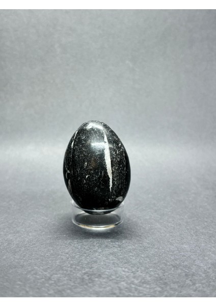 Belemnit Fosilli Yumurta Doğaltaş fırsatları