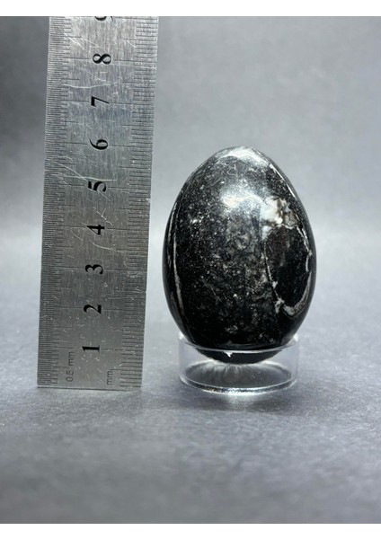 Belemnit Fosilli Yumurta Doğaltaş indirimleri