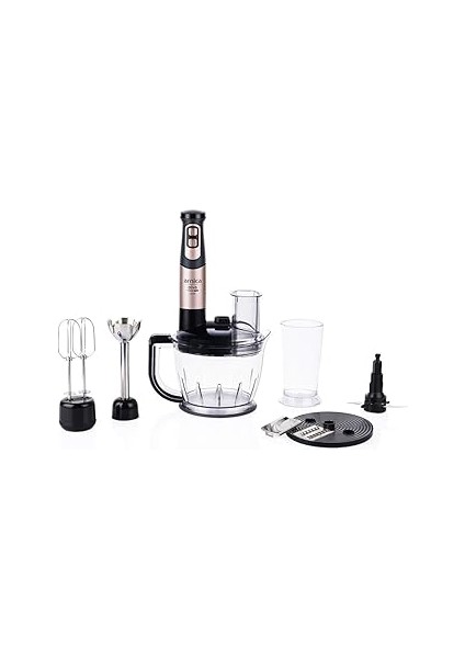 GH21802 Diva Rendeli El Blender Seti Rose Şeffaf Hazne Kapak