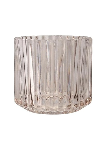 Porland Minto Diş Fırçalık