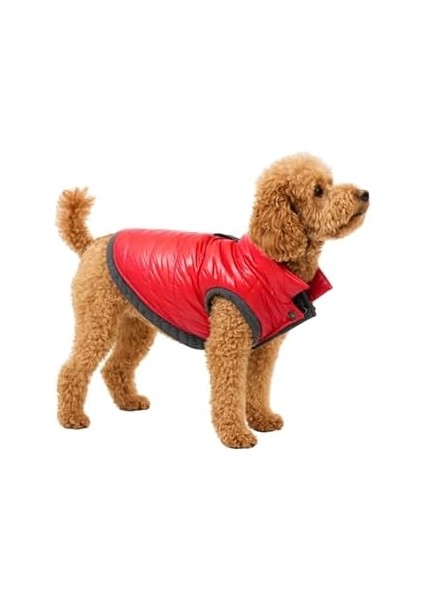 Oli And Lui Kirmizi Su Geçirmez Kapitone Köpek Montu – Gezdirme Halkalı (Kırmızı, Xs)