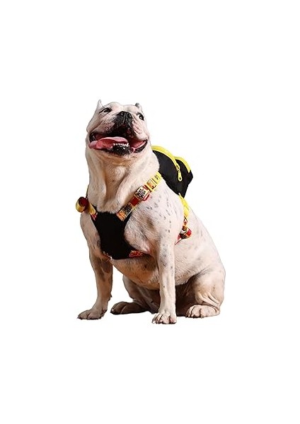 Pawlook Gimme Five Siyah Çantalı Göğüs Tasması,göğüs Tasması Işlevli, Geri Dönüştürülmüş Malzeme, A