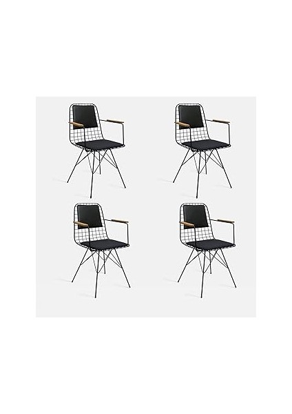 Theia 4 Li Kolçaklı ve Sırt Minderli Tel Sandlaye Seti