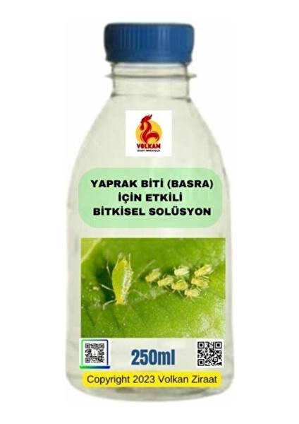 Yaprak Biti (Basra) ile Savaşın: Biti Öldüren Bitkisel Solüsyon Kesin Çözüm Elde Edin