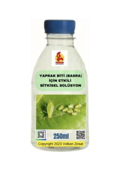 Yaprak Biti (Basra) ile Savaşın: Biti Öldüren Bitkisel Solüsyon Kesin Çözüm Elde Edin 250ML Hediyeli