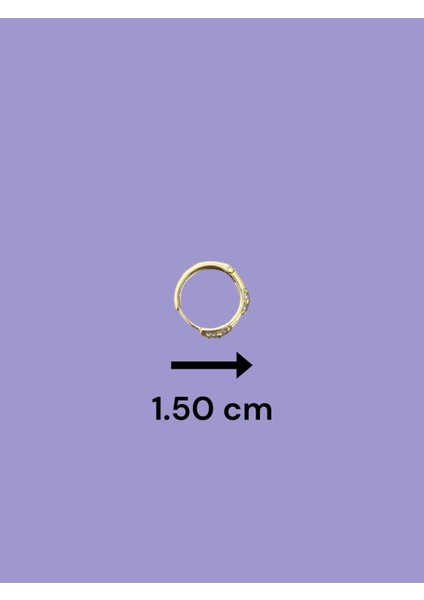 Xuping Taşlı Halka Küpe 01 modelleri