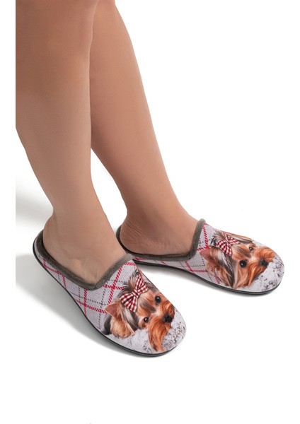 Daisy Kadın Ev Terliği Bej 37/41