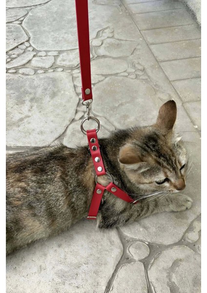 Deri Kedi Harness , Kedi Gezdirme Tasması - NPC005