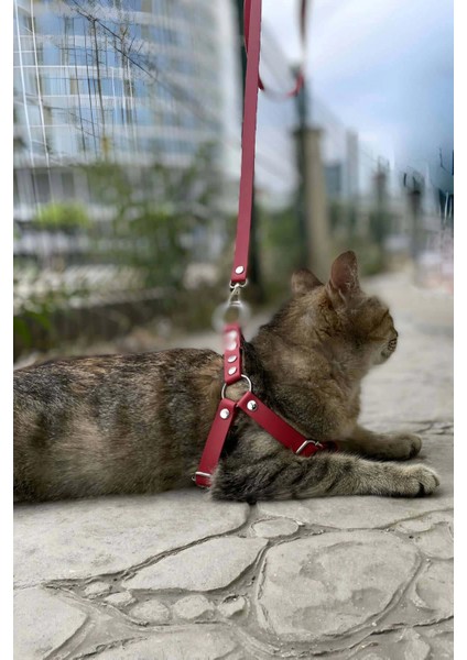 Deri Kedi Harness , Kedi Gezdirme Tasması - NPC005 fiyatları