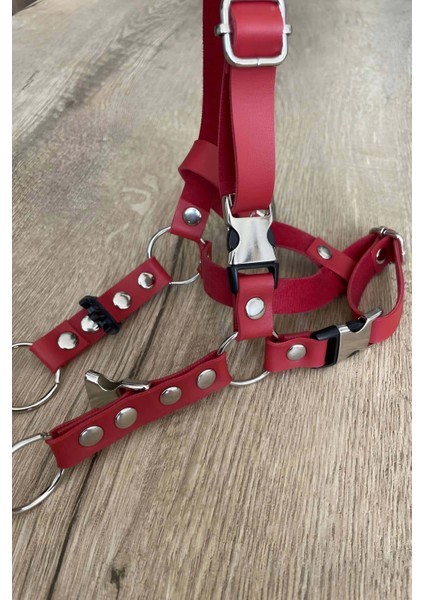 Deri Kedi Harness , Kedi Gezdirme Tasması - NPC005 modelleri