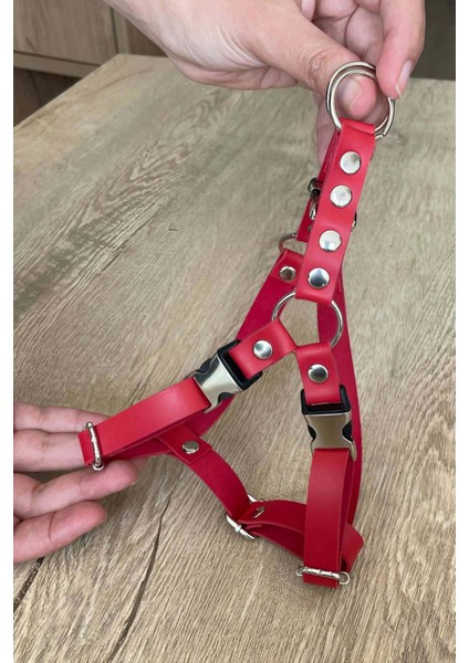 Deri Kedi Harness , Kedi Gezdirme Tasması - NPC005 fırsatları