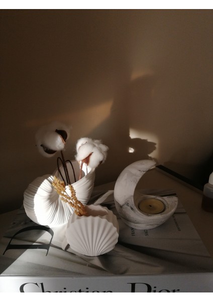 Deniz Kabuğu Vazo & Mini Istiridye Vazo & Ay Şeklinde Tealıght Mumluk Ev Dekorasyonu