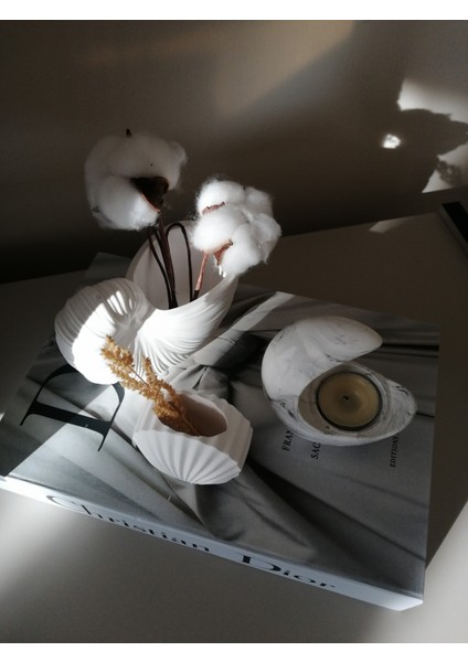 Deniz Kabuğu Vazo & Mini Istiridye Vazo & Ay Şeklinde Tealıght Mumluk Ev Dekorasyonu fiyatları