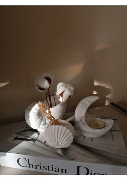 Deniz Kabuğu Vazo & Mini Istiridye Vazo & Ay Şeklinde Tealıght Mumluk Ev Dekorasyonu modelleri