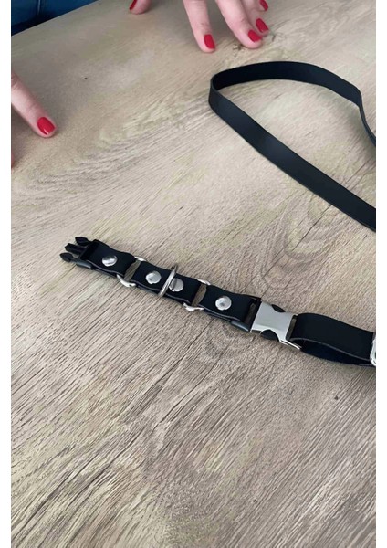 Kedi Harness , Gezdirme ve Boyun Tasması - NPC002 fiyatları