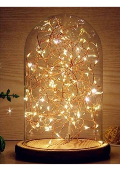 Parlak 50 LED Peri Günışığı 5mt Pilli Ağaç Süsleme Işıklandırma