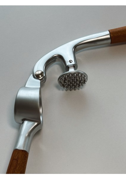 Prateg Akasya Saplı Sarımsak Ezici fiyatları