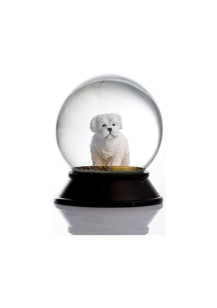Snoowg Cam ve Reçine Altın Patiler Köpek Maltese Terrier Kar Küresi Hediye