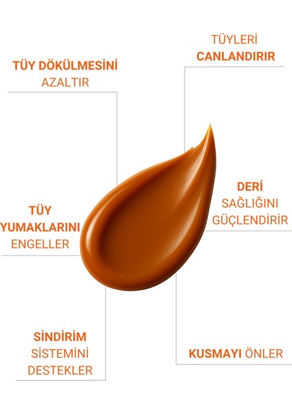 Sindirim Düzenleyici, Tüy Yumağı ve Kusma Önleyici Multivitamin Kedi Malt Macun 100 gr fiyatları