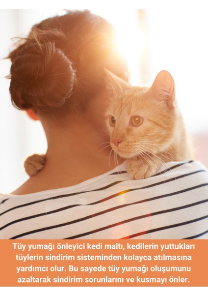 Sindirim Düzenleyici, Tüy Yumağı ve Kusma Önleyici Multivitamin Kedi Malt Macun 100 gr