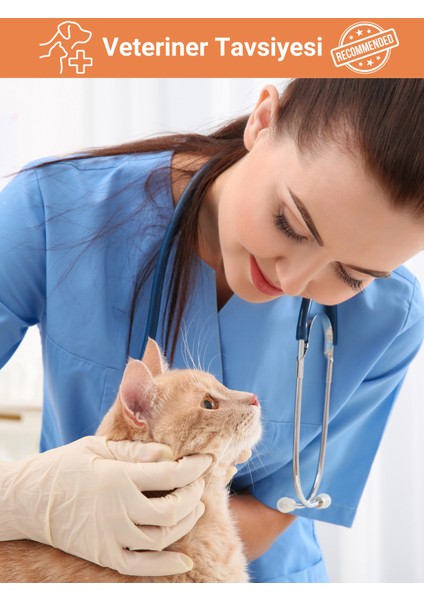 Sindirim Düzenleyici, Tüy Yumağı ve Kusma Önleyici Multivitamin Kedi Malt Macun 100 gr