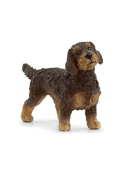 Schleich Tel Tüylü Dachshund, Oyuncak Figür