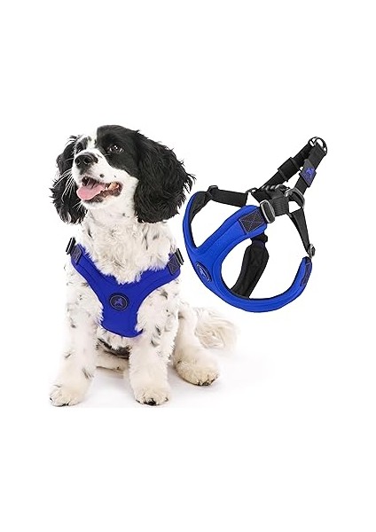 Gooby - Escape Free Horness, Small Dog Step-In Neopren Harness For Dogs For Dogs For Dogs For