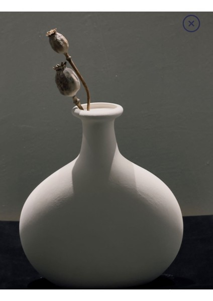 Minimalist Geniş Gövdeli Seramik Vazo – 25X20X7 cm Dekoratif Ev ve Ofis Aksesuarı fiyatları