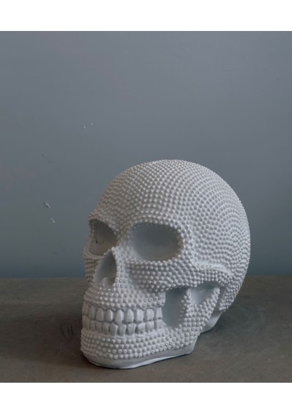 Dev Zımbalı Kafatası Heykeli | 27 cm Modern Gotik Dekor fiyatları