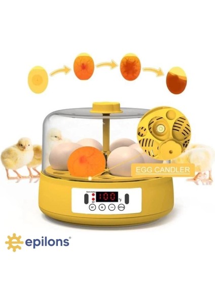 Mini Otomatik Ev Tipi Kuluçka: Elektrikli Tavuk ve Kuş Kuluçka Makinesi 6 Yumurtalı Mx-6 fiyatları