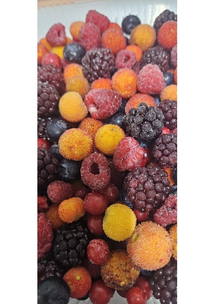 Dondurulmuş Karışık Orman Meyveleri Paketi 1 kg