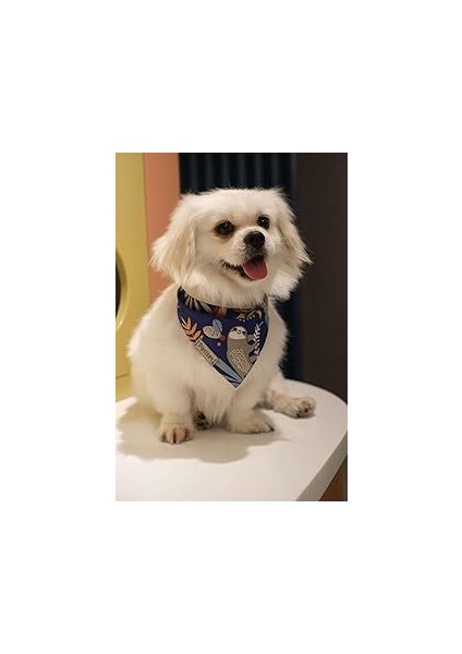 Patiset Orman Desenli Lacivert Köpek Fuları Bandanası Köpek Kıyafeti Lacivert Xl