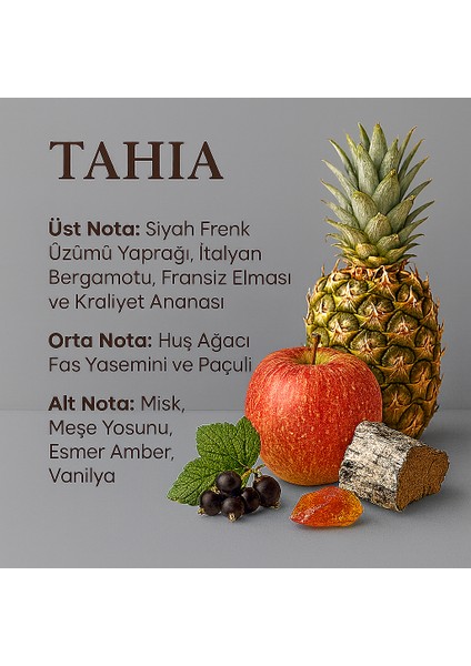 Erkek Parfümü 50 ml - Ferah & Odunsu - Yoğun ve Kalıcı - Tahia modelleri