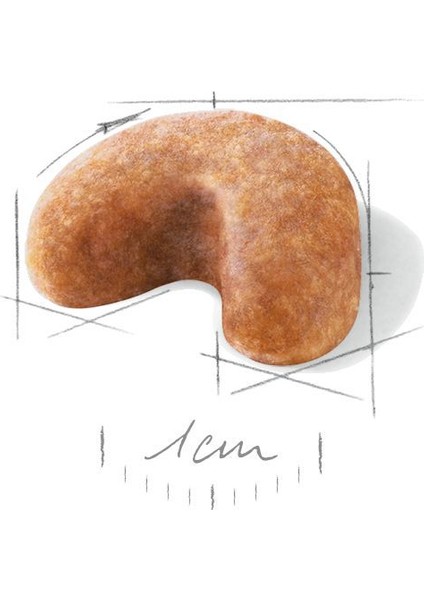 Fransız Bulldog Yavru Köpek Maması 3kg