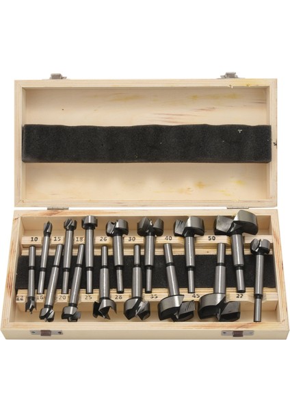 Forstner Matkap Bit Seti 15 Pcs 10MM - 50MM Ahşap Deliği Soyun Tester Sondaj Mobilya Kapı Menteşe Sıkıcı Delik Için Sondaj Kesme Alet Kitleri (Yurt Dışından)