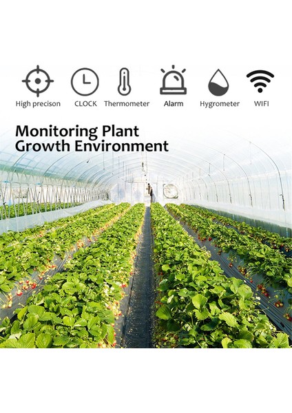 Tuya Wıfı Co Metre Sıcaklık ve Nem Test Cihazı Ev Hava Kalitesi Monitörü Karbon Monoksit Dedektörü (Yurt Dışından) fırsatları