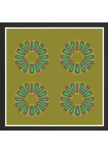 Manyetik Alan Görüntüleme Filmi, Manyetik Alan Dedektörü Bilimsel Proje Öğretimi Için Manyetik Alanları Görmek Için 4 x 4 Inç (Yurt Dışından) fırsatları