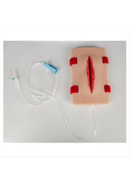 Eğitimsel Yara Paketleme Eğitmen Modeli (Yurt Dışından) fırsatları