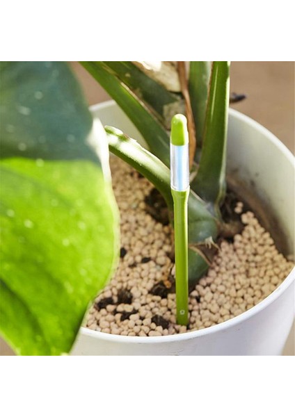 Aquameter, 5 Seti, Bitki Toprak Nem Sensörü, Ev Bitki Toprak Nem Ölçer, Kapalı Saksı Bitkileri Için En Iyisi (Orta) (Yurt Dışından) fiyatları