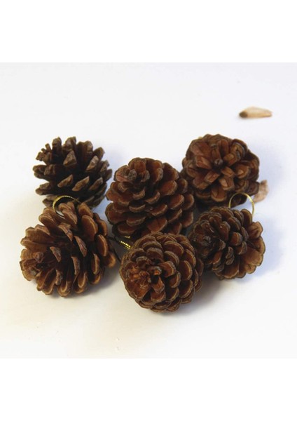 Besportble 12 Adet Çam Kozalakları Noel Ağacı Süslemeleri Çam Kozalakları Asılı 4 Ila 5c (Yurt Dışından) indirimleri