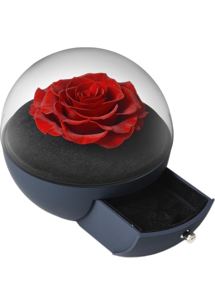 Esinti Sonsuz Çiçek ve Gül Içeren Küresel Akrilik Mücevher Kutusu, (Yurt Dışından)